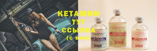 ПСИЛОЦИБИНОВЫЕ ГРИБЫ Магас