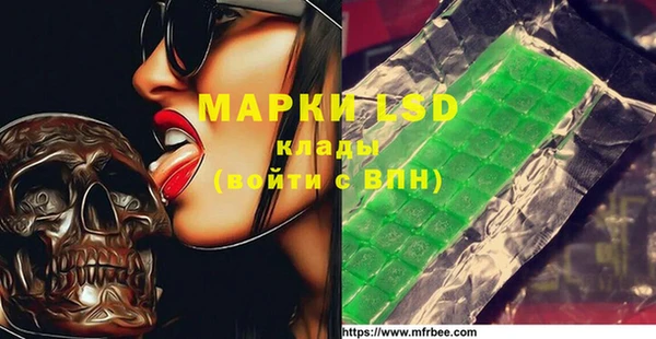 ПСИЛОЦИБИНОВЫЕ ГРИБЫ Магас