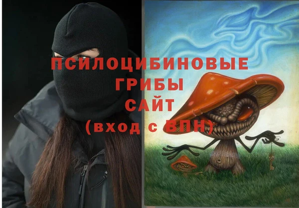 ПСИЛОЦИБИНОВЫЕ ГРИБЫ Магас
