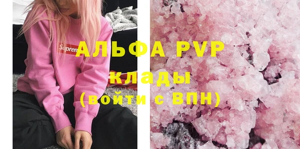 ПСИЛОЦИБИНОВЫЕ ГРИБЫ Магас